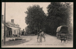 CPA Saincaize-le-Guétin, Le Grenouille, Avenue Du Guetin  - Autres & Non Classés