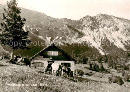 73803677 Oberjoch Bad Hindelang Wiedhagalpe Mit Iseler  - Hindelang