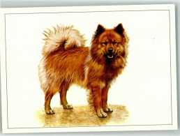 39867351 - Eurasier Sign. Faust Berthold - Chiens