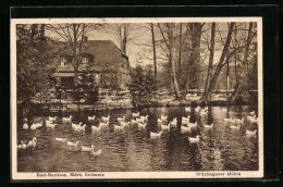 AK Bad Buckow I. Märk. Schweiz, Pritzhagener Mühle  - Buckow