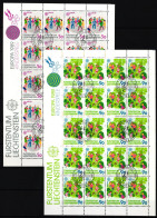 Liechtenstein 960 Und 961 Gestempelt Kleinbogensatz Mit Ersttagsstempel #IH933 - Autres & Non Classés