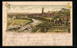 Lithographie Landshut, Teilansicht Mit Brücke  - Landshut