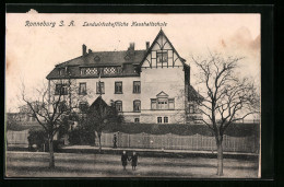 AK Ronneburg /S.-A., Landwirtschaftliche Haushaltschule Mit Strasse  - Ronneburg