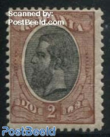 Romania 1900 2L, Stamp Out Of Set, Unused (hinged) - Neufs