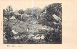 Sierra-Leone - FREETOWN - Panorama - Publ. H. Thies  - Sierra Leone