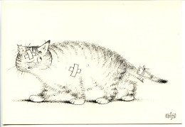 CPSM 10.5 X 15 Illustrateur  Albert DUBOUT   Extrait De "Entre Chats"  Ed Du Livre 1962 - Dubout