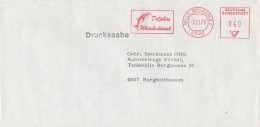 Motive > Tierwelt & Fauna > Meeressäuger > Delfine Brief Mit Freistempel Wäschedienst Melle Wiehengeb 8 1979 Groß - Dolphins