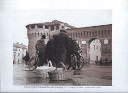 Forlimpopoli La Rocca - Luoghi