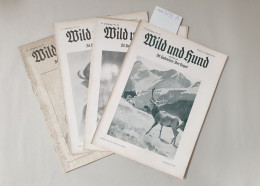 Wild Und Hund, Konvolut Des Jahres 1934 : - Autres & Non Classés
