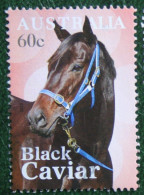 60c Black Caviar - Racehorse Horse Pferd 2013 Mi 3946 Y&T - Used Gebruikt Oblitere Australia Australien Australie - Oblitérés