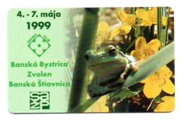 Grenouille Frog Animal Télécarte Puce  Slovaquie  Infotellphonecard (salon 643) - Slovakia