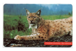 Lynx Chat Cat   Jungle Félin  Animal Télécarte Puce  Slovaquie  Phonecard (salon 645) - Slovakia