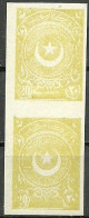 Turkey; 1924 2nd Star & Crescent Issue Stamp 20 P. ERROR "Imperf. Pair" - Neufs