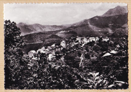 37065 / ⭐ ♥️  Rare REBBIA Village De Haute-Corse  Sant Andrea Di Bozio 1950s CORSICA Photo Véritable RISTERUCCI  - Autres & Non Classés