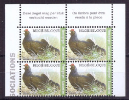 BELGIE * Buzin * Nr 4305  Franse + Vlaamse Tekst * Postfris Xx - 1985-.. Oiseaux (Buzin)
