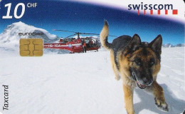 Switzerland: 1998 Lawinenhund Marc - Perros