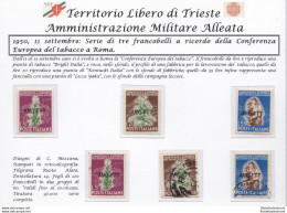 1950 TRIESTE A - N° 84/86 Serie Di Tre Valori NUOVA (MNH/**)+USATA - Otros & Sin Clasificación