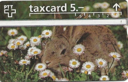 Switzerland: 1996 Hase - Rabbits