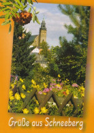 2 AK Germany / Sachsen * Blick Zur St. Wolfgangskirche In Der Bergstadt Schneeberg Im Erzgebirge * - Schneeberg