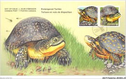 AKKP7-0451-PREMIER JOUR - CANADA - BRIDGE - TORTUES EN VOIE DE DISPARITION - TORTUE MOUCHETEE - TORTUE PONCTUEE - 2019 - 2011-...