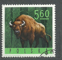 Poland, 1965 (#1635a), Forest Animals Bison Waldtiere Bisonte Degli Animali Della Foresta Animaux De La Forêt - Vaches