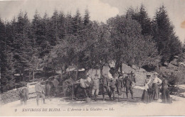 B3- ENVIRONS DE BLIDA - ALGERIE - L ' ARRIVEE A LA GLACIERE - AIMATION  - EN 1917 - ( 2 SCANS ) - Blida