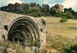 09 - Mirepoix - Environs De Mirepoix - Fontaine Des Cordeliers Et Château De Terride - Carte Neuve - CPM - Voir Scans Re - Mirepoix