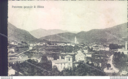 C679  Cartolina Panorama Generale Di Albino Provincia Di Bergamo - Bergamo