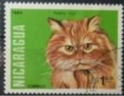 NICARAGUA - Chat Roux (Felis Silvestris Catus) - Chats Domestiques