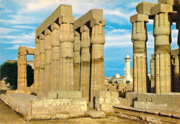 Louxor - Colonnes En Forme De Papyrus Au Temple De Louxor - Luxor