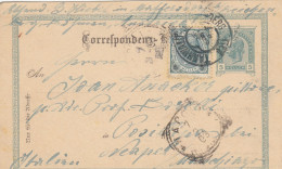 Österreich Postkarte (Ganzsache) Aus TANNWALD (Tanvald), Maffersdorf Nach Positano A.d. Maler Joan Anacker, Neapel, 1903 - Briefkaarten