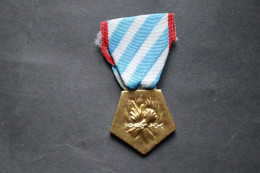 Médaille  De La Déportation  Internement  Et Résistance 1939 1945  WWII - France