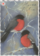 BIRD Animals Vintage Postcard CPSM #PBR574.A - Vogels