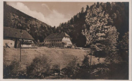 109035 - Elzach-Hinterprechtal - Pension Zur Linde - Elzach