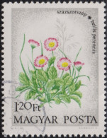 1973 Ungarn ⵙ English Daisies (Bellis Perennis), Blumen, Mi:HU 2890A, Sn:HU 2243, Yt:HU 2325, Sg:HU 2823 - Used Stamps