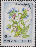 1973 Ungarn ⵙ Pulmonaria Mollissima, Blumen, Mi:HU 2889A, Sn:HU 2242, Yt:HU 2324, Sg:HU 2822, - Used Stamps