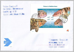 Portugal Stamps 2016 - Mediterranean Fish - Usati