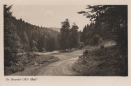 18569 - Vessertal Im Thüringer Wald - Ca. 1955 - Schmiedefeld