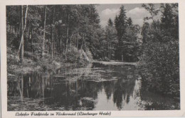 21847 - Walsrode - Lohofer Fischteiche Im Kleckerwald - 1961 - Walsrode