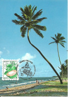 31106 - Carte Souvenir - Brasil - Frutos Coco Coqueiro - Selo Adesivo - Coco Coconut - Maximum Cards