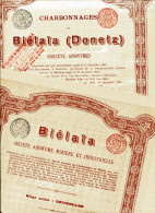 BIELAIA - S.A. Minière Et Industrielle & Charbonnages (2 Titres) - Rusland