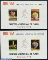 Bolivia 1973 Cactus Flowers 2 S/s, Mint NH, Nature - Sport - Cacti - Flowers & Plants - Football - Cactus