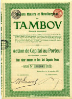 MINIÈRE Et MÉTALLURGIQUE De TAMBOV; Action De Capital - Rusland