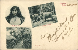 CPA Colombo Ceylon Sri Lanka, Ceylon Elephanta, Singhalese Girl, Native Huta - Sri Lanka (Ceylon)