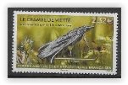 TAAF 2024 Timbre Neuf Crambe De Viette - Neufs