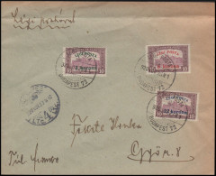 PA 2 - 23/11/1924 - Air Mail. Letter Sent From Hungary To Gyor. - Lettres & Documents