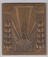 Médaille Des Chantiers De La Jeunesse Française  1940 - 1944 - Autres & Non Classés