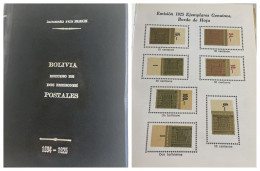 O) BOLIVIA,  BOOK, STUDY OF TWO POSTAL ISSUES 1894 - 1925, ESTUDIO  DE DOS EMISIONES  POSTALES  1894 - 1925,  234 Pages, - Other & Unclassified