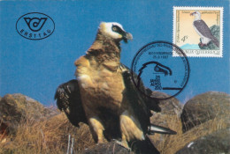 1987 - BIRD OF PREY - BEARDED VULTURE (Gypaetus Barbatus) - Maximumkarten (MC)