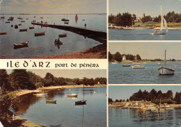 56-ILE D ARZ-N°3472-C/0275 - Ile D'Arz